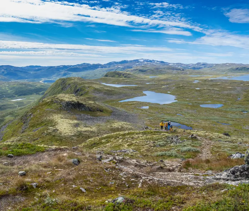Family hike on Filefjellseggen between Skørsnøse and Støgonøse, with sweeping views 