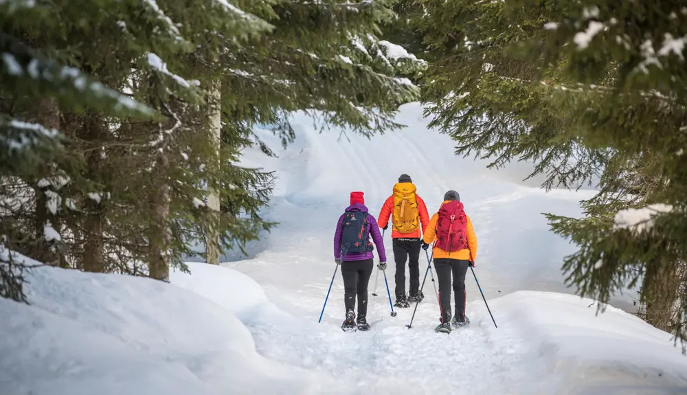 Tre personer på trugetur på Kongevegen