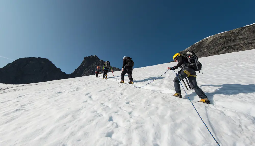 Falkebreen. 