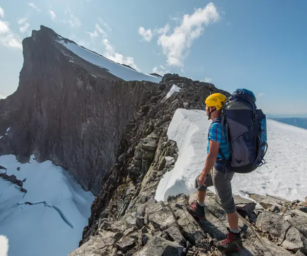 Summit hike with guide – participants heading towards Falketind with Tyin Aktiv