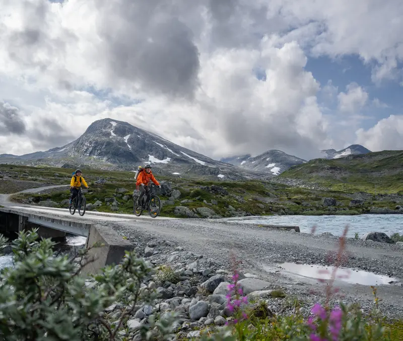 Sykling på Koldedalsvegen ved Jotunheimen