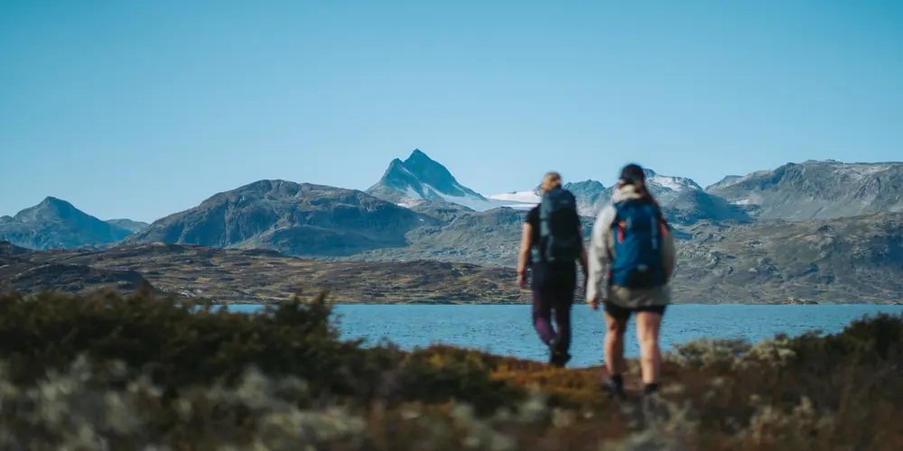 Friends on a walk with Uranostind in the background