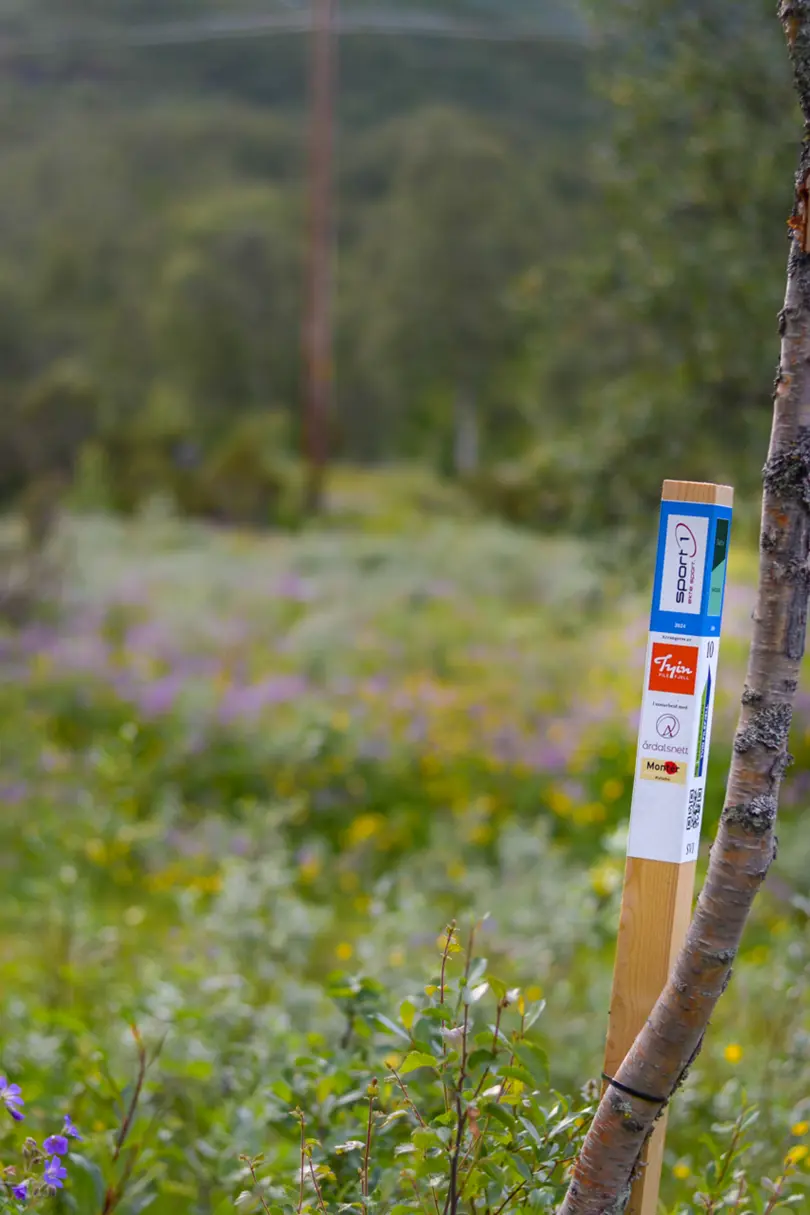 Stolpe i Stolpejakten plassert i vakre omgivelser på Tyin Filefjell