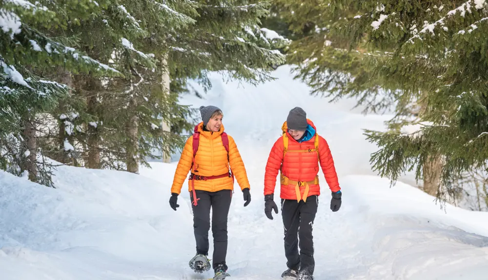To personer på trugetur på Kongevegen