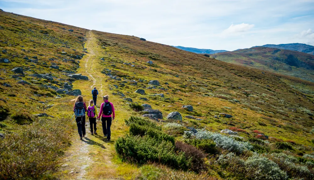 Familie på tur på Kongevegen over Filefjell