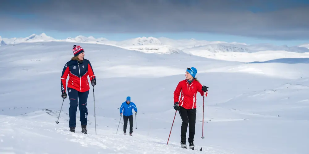 Cross-country skiers on high mountain trails at Tyin Filefjell