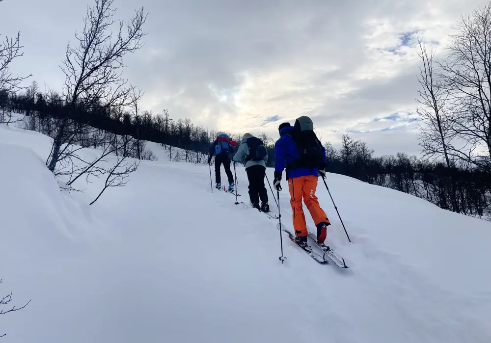 IMG 2943 Finndalshorn