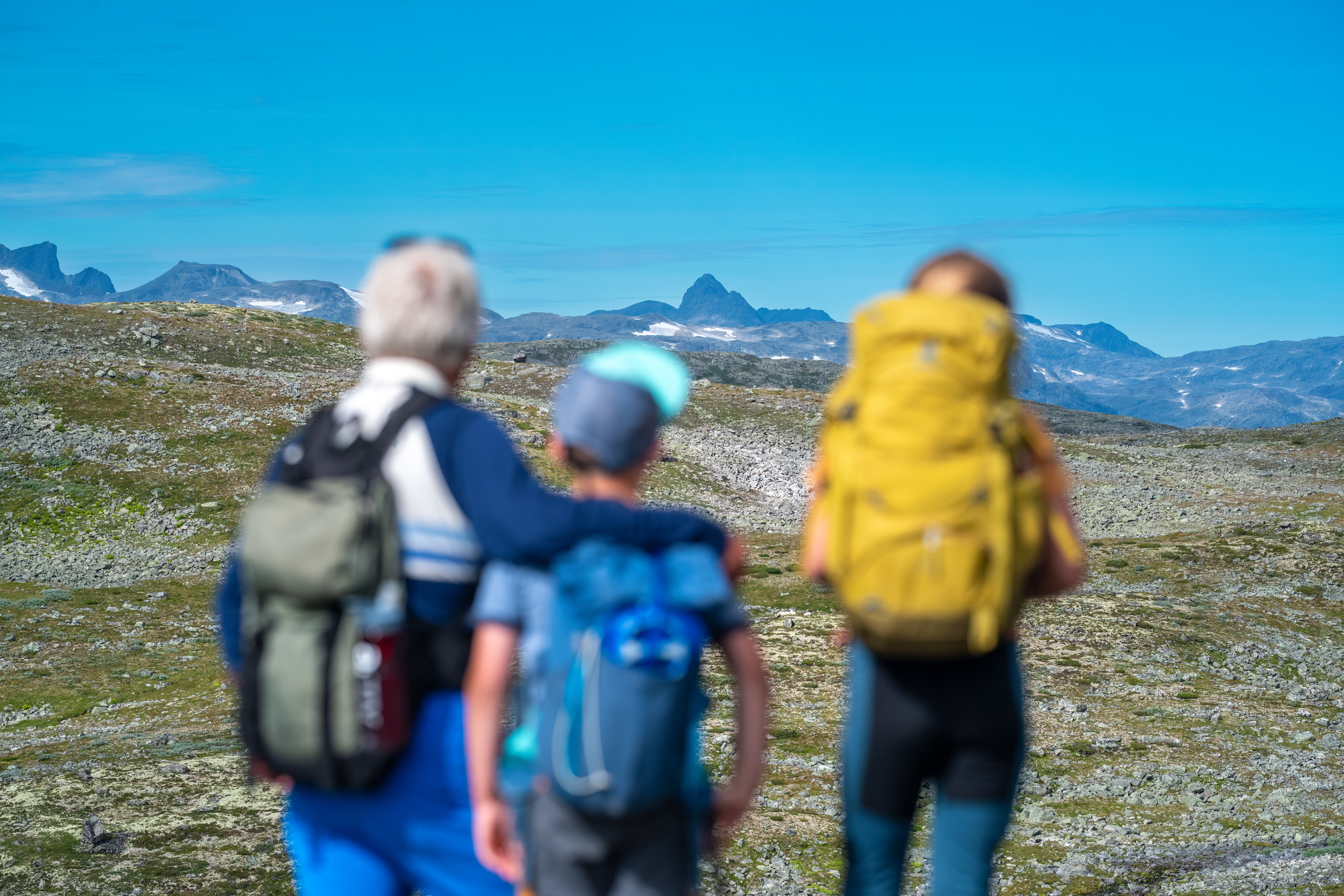 Familietur på Filefjellseggen mellom Skørsnøse og Støgonøse, med utsikt mot Jotunheimens tinder