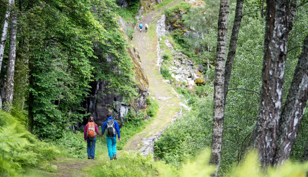 Turgåere på Kongevegen 