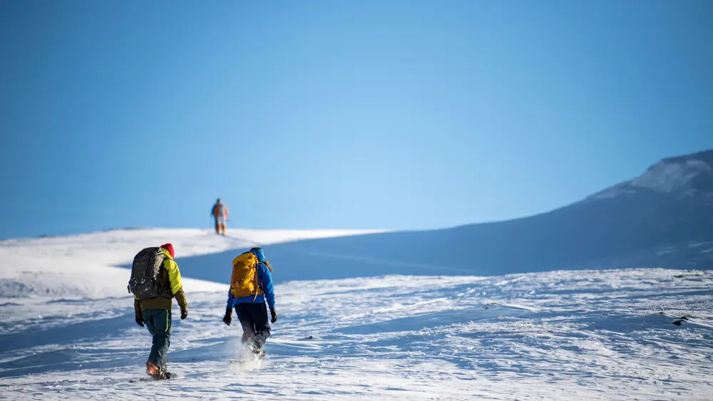 Three people heading up a mountain on snowshoes