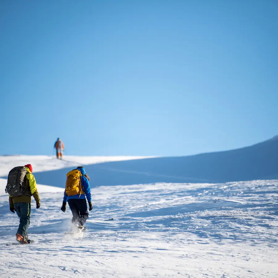 Three people heading up a mountain on snowshoes