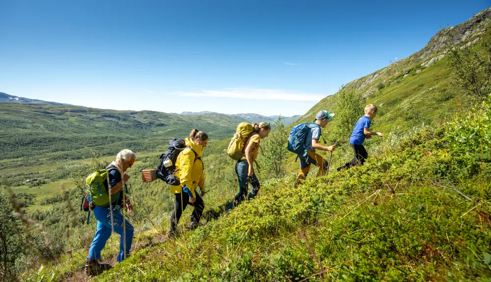 Family trip on Filefjellseggen between Skørsnøse and Støgonøse