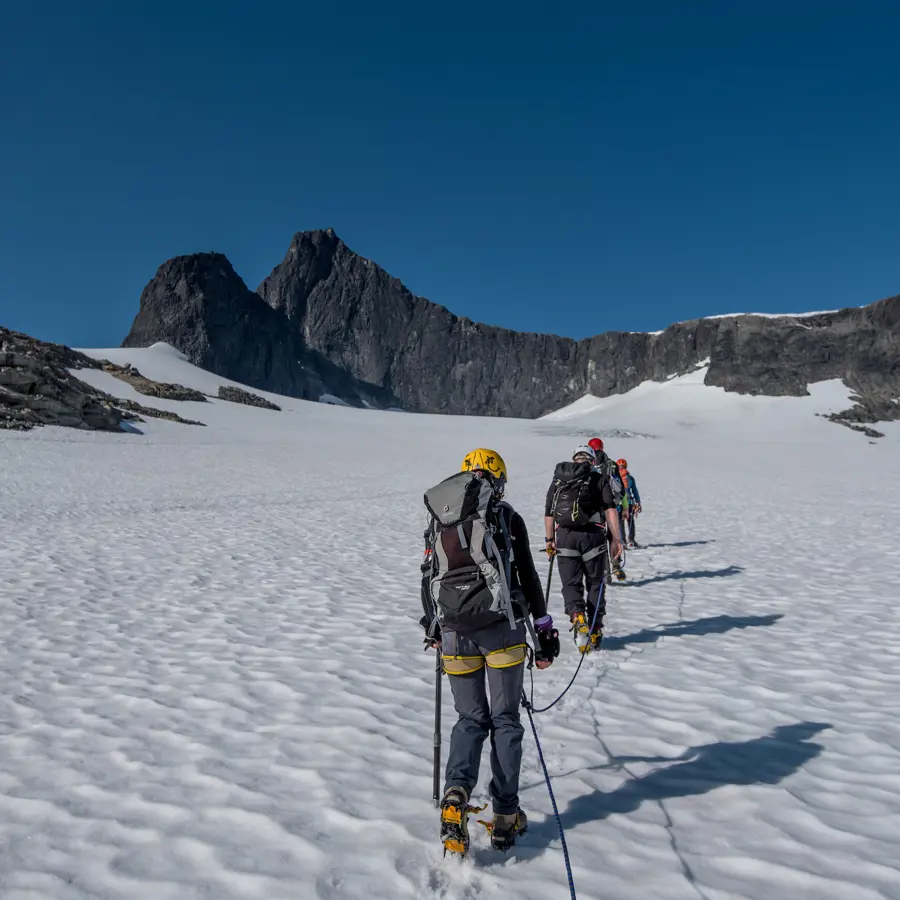 Rope layer over Falkebreen. 