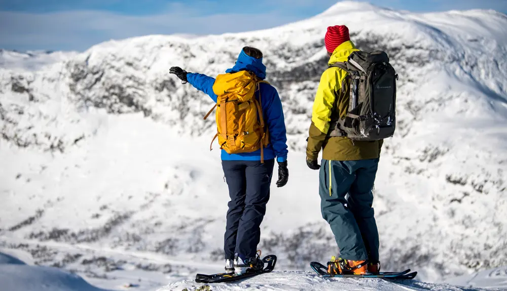 Two people on snowshoes looking at the view at Tyin Filefjell