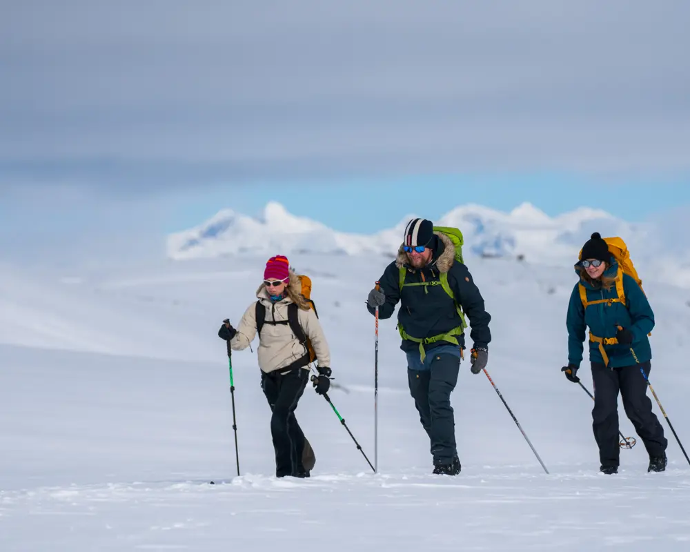 Skiers on mountain skiing at Tyin Filefjell