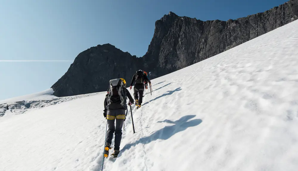 Glacier hiking on Falkebreen. 