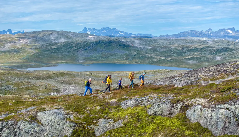 Family hike on Filefjellseggen between Skørsnøse and Støgonøse, with views of Jotunheimen's peaks