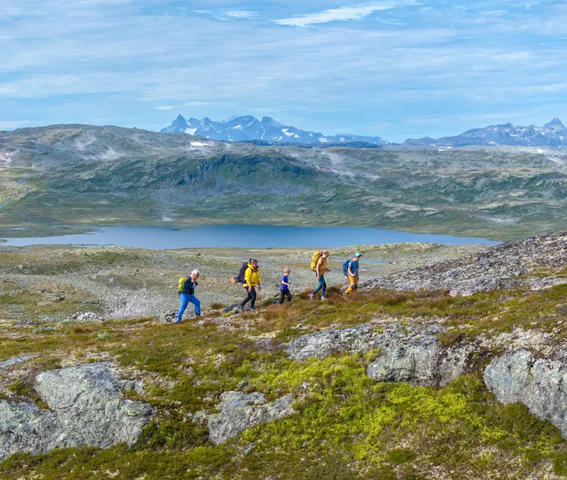 Family hike on Filefjellseggen between Skørsnøse and Støgonøse, with views of Jotunheimen's peaks